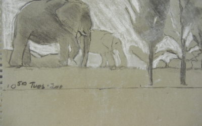 Elephant Pen II, Final Drawing