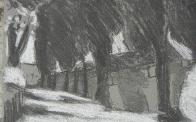 Avenue of Cypress